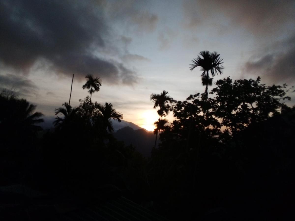 Ella Elegance View Bed & Breakfast Bagian luar foto